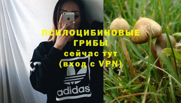 трава Абдулино