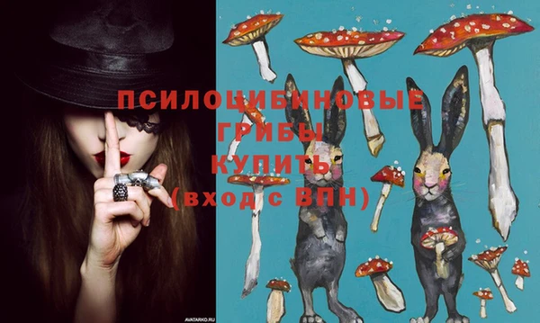 гашиш Абаза